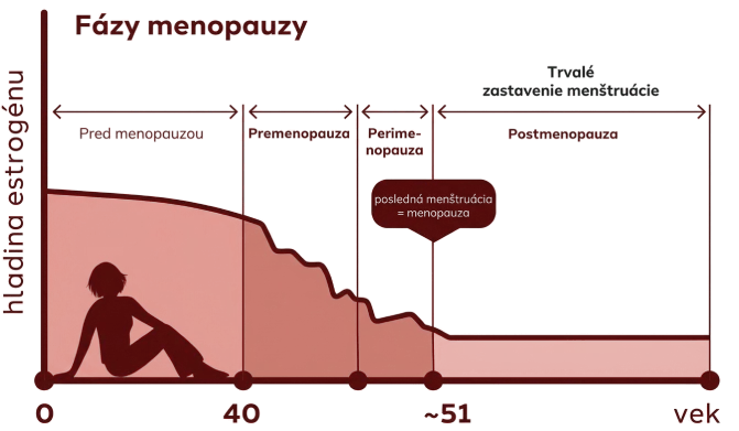 Graf fáz menopauzy a hladiny estrogénu